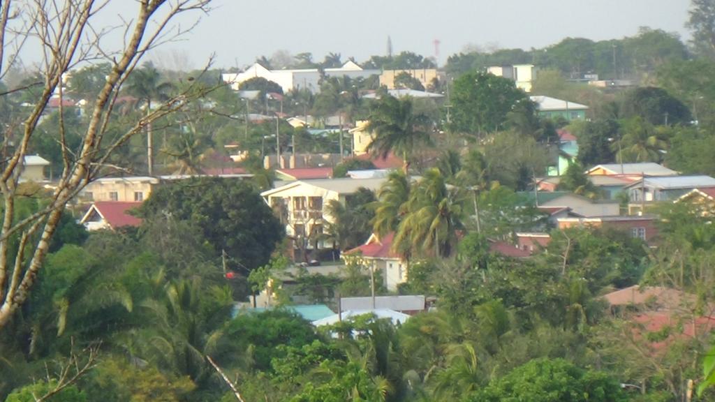 Hacienda Tropical Guest House 벨모판 외부 사진