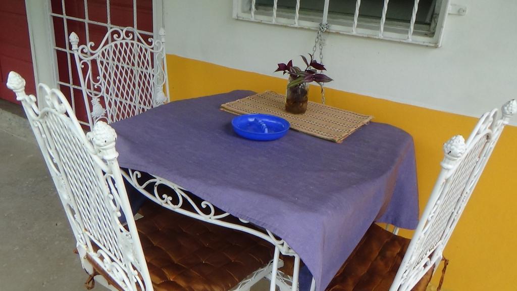 Hacienda Tropical Guest House 벨모판 외부 사진