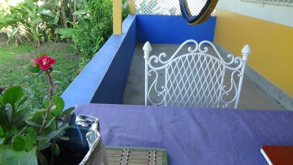 Hacienda Tropical Guest House 벨모판 외부 사진